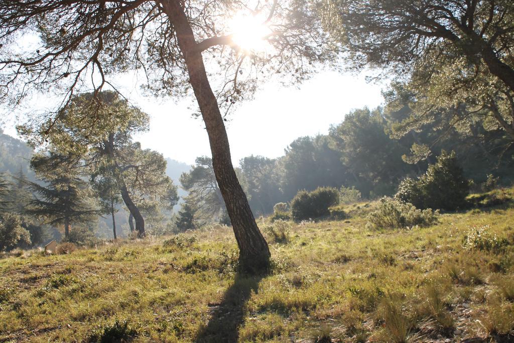 Les Mazets De Pascale * Saint-Rémy-de-Provence