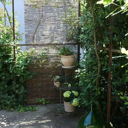 Villa Les Mazets De Pascale Saint-Rémy-de-Provence Exterior foto